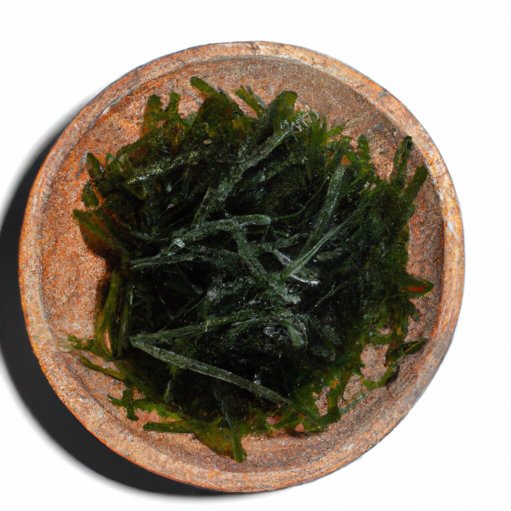 tipos de algas comestibles