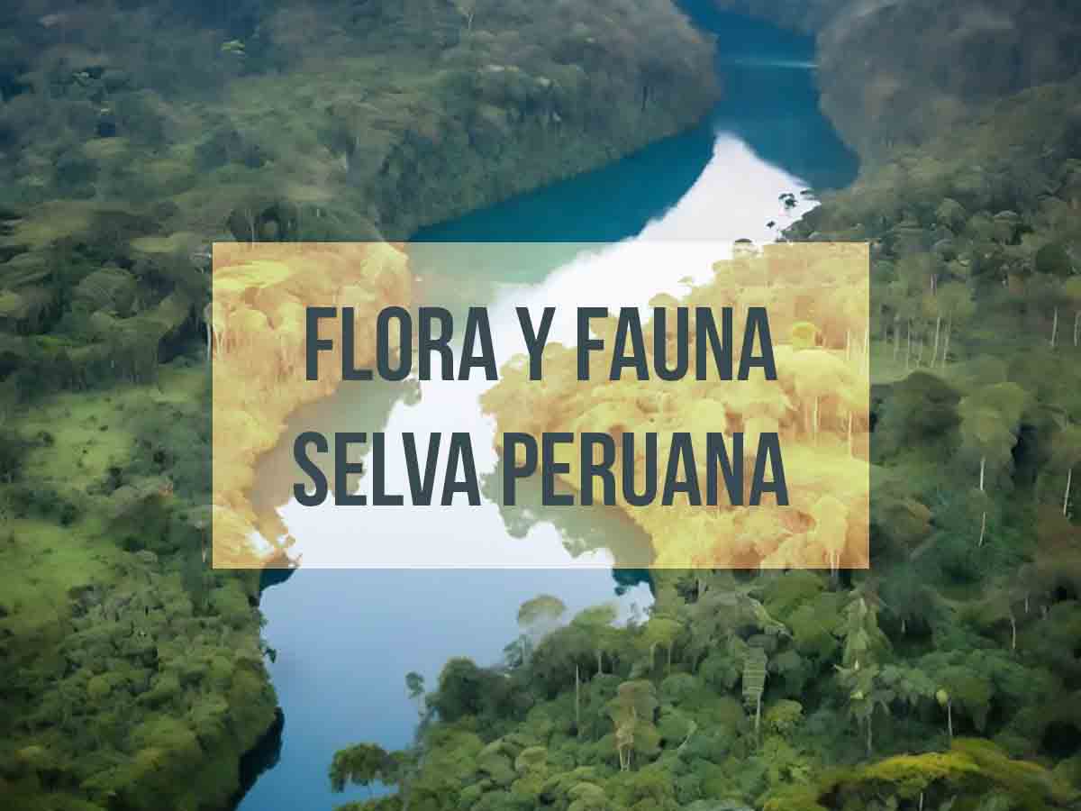 Flora y fauna de la selva peruana - Ecosistemas - Flora y fauna de la selva peruana