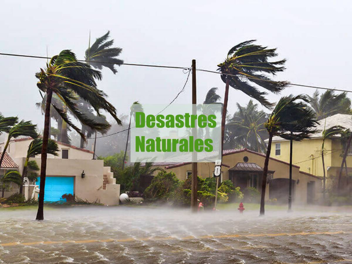 Desastres naturales: qué son, tipos y cómo actuar - Medio Ambiente - Desastres naturales: qué son, tipos y cómo actuar
