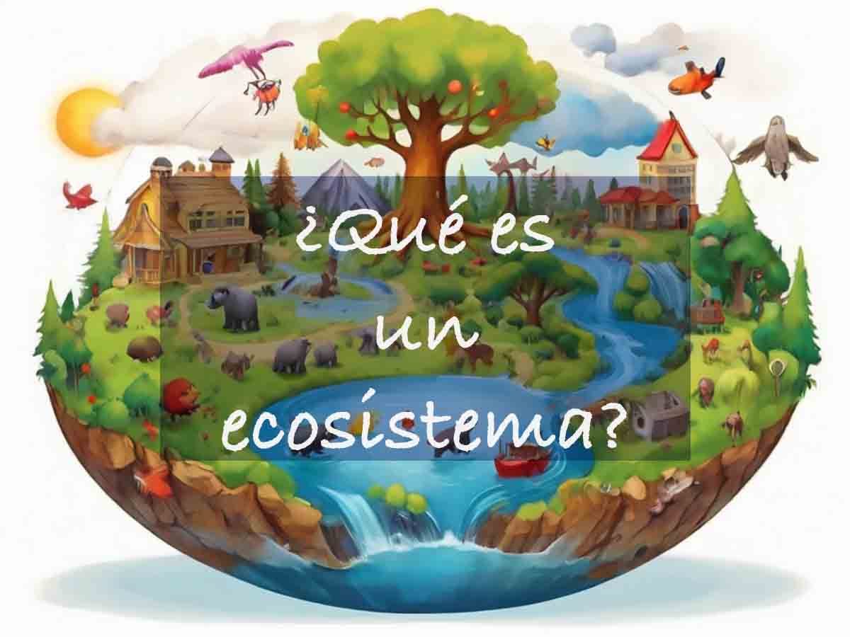 ¿Qué es un ecosistema? Definición para niños - Ecosistemas - ¿Qué es un ecosistema? Definición para niños