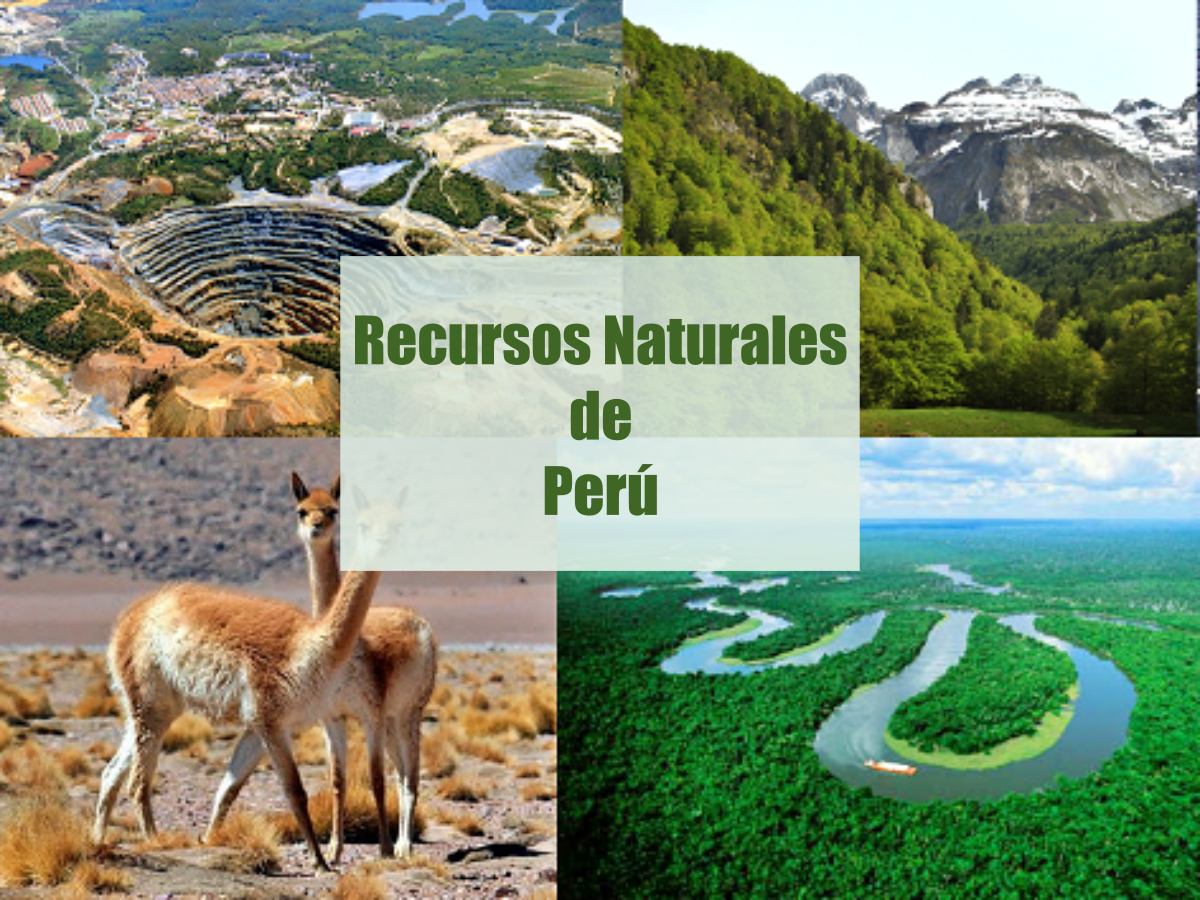 recursos naturales Perú