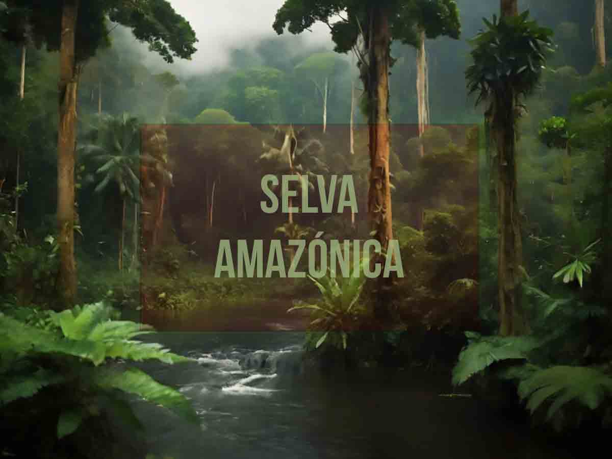 Selva amazónica: dónde se encuentra, flora, fauna, tribus y amenazas - Ecosistemas - Selva amazónica: dónde se encuentra, flora, fauna, tribus y amenazas